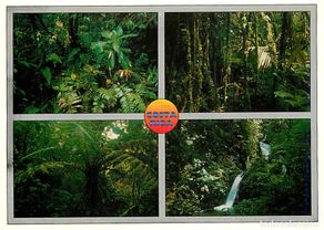 Cartoline: Format - 160 x 115 mms - Costa Rica - monteverde - Multivues - CPM - Carte Neuve - Voir Scans Recto-